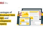 The Advantages of Hiring a Professional Web Design & Development Company