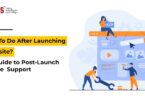Post Launch Website  Support